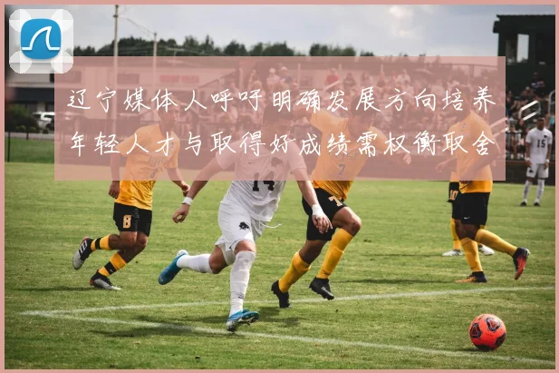 辽宁媒体人呼吁明确发展方向培养年轻人才与取得好成绩需权衡取舍